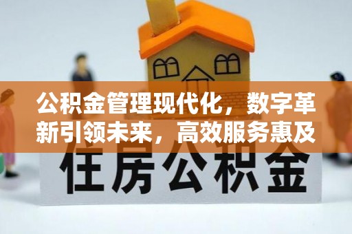 狮子公积金管理现代化，数字革新引领未来，高效服务惠及民生