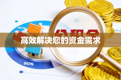 狮子高效解决您的资金需求
