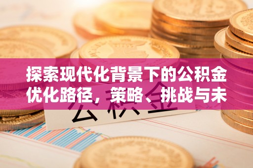 狮子探索现代化背景下的公积金优化路径，策略、挑战与未来展望