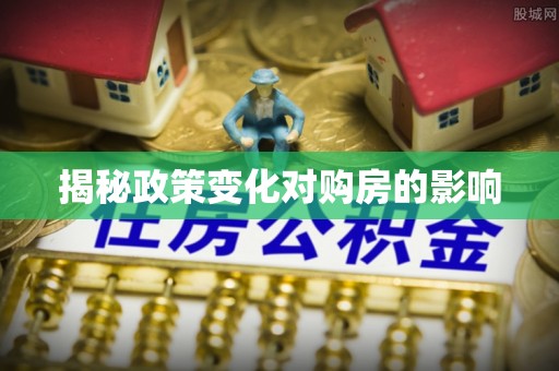 狮子揭秘政策变化对购房的影响