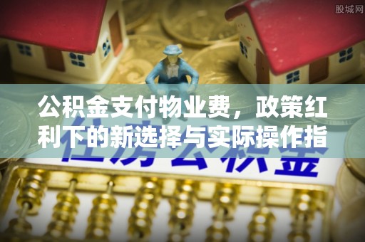 狮子公积金支付物业费，政策红利下的新选择与实际操作指南
