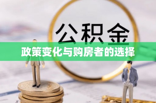 狮子政策变化与购房者的选择