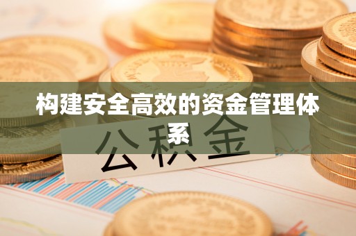 狮子构建安全高效的资金管理体系
