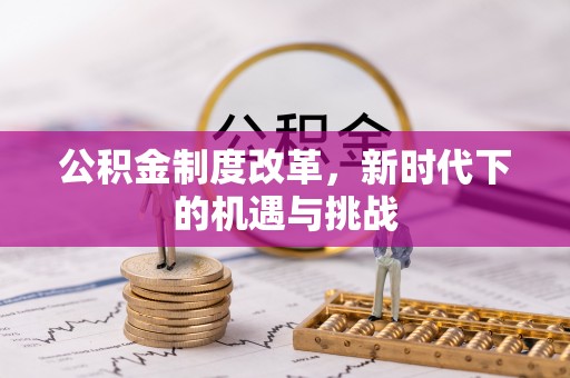 狮子公积金制度改革，新时代下的机遇与挑战