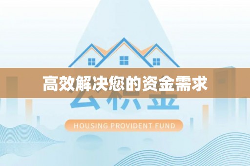 狮子高效解决您的资金需求