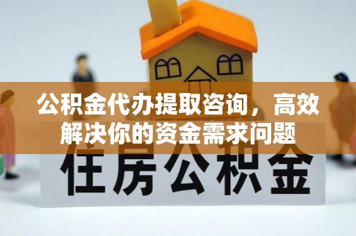 狮子公积金代办提取咨询，高效解决你的资金需求问题