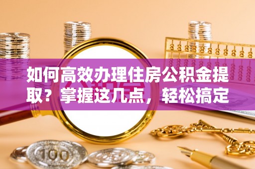狮子如何高效办理住房公积金提取？掌握这几点，轻松搞定！