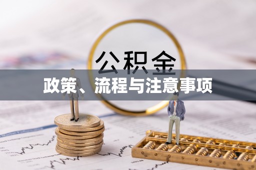 狮子政策、流程与注意事项