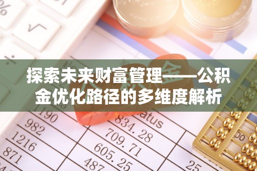 狮子探索未来财富管理——公积金优化路径的多维度解析