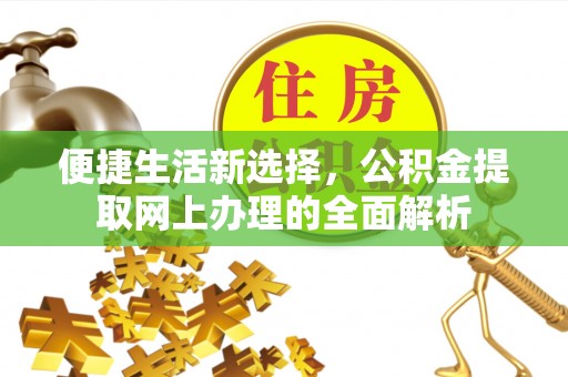 狮子便捷生活新选择，公积金提取网上办理的全面解析