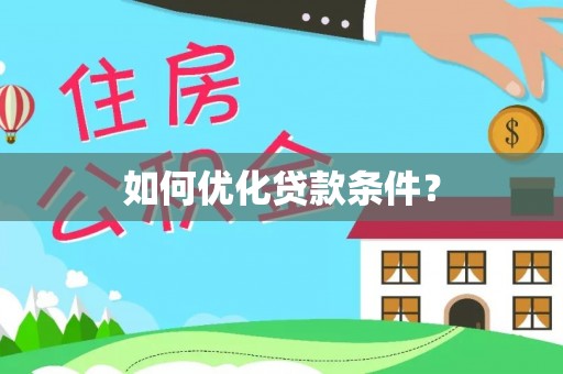 狮子如何优化贷款条件？