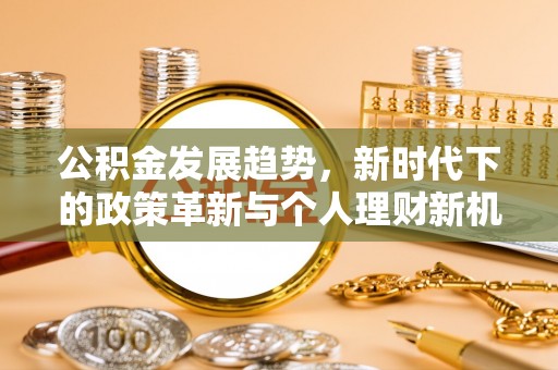 狮子公积金发展趋势，新时代下的政策革新与个人理财新机遇
