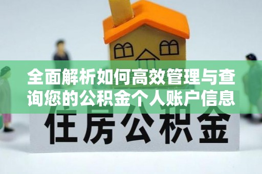 狮子全面解析如何高效管理与查询您的公积金个人账户信息