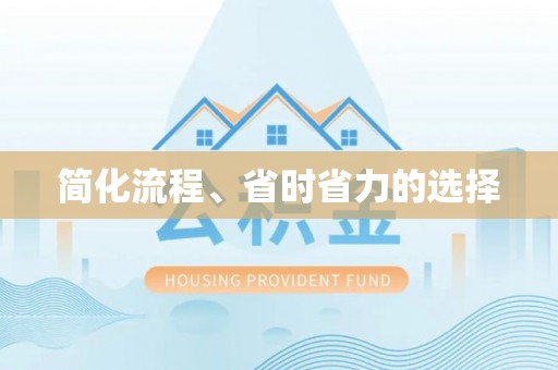 狮子简化流程、省时省力的选择