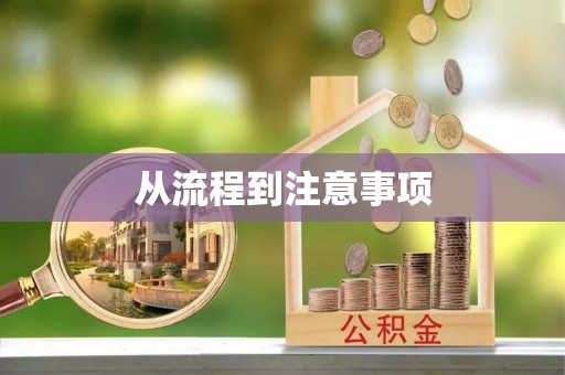 狮子从流程到注意事项
