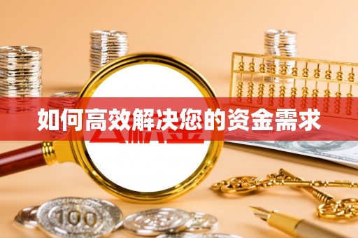 狮子如何高效解决您的资金需求