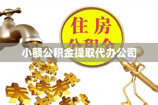 狮子小额公积金提取代办公司