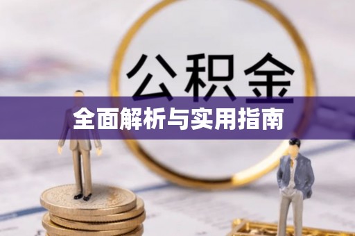 狮子全面解析与实用指南